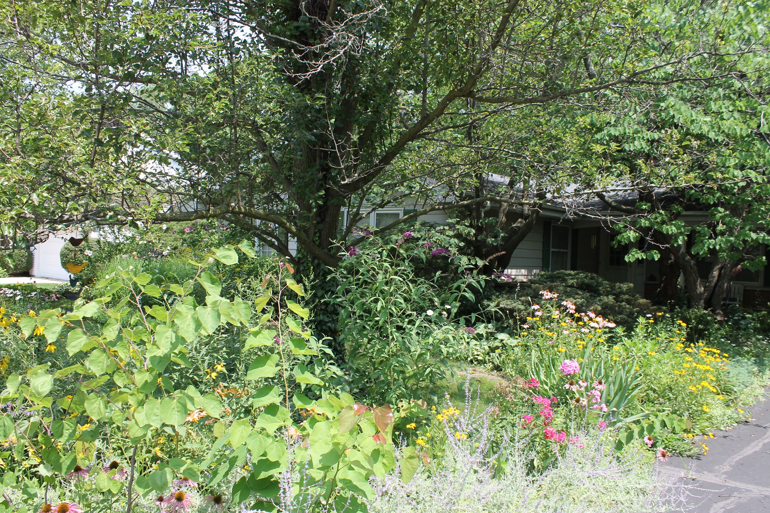 14-1117 White Mountain Dr